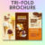 Tri-Fold Brochure